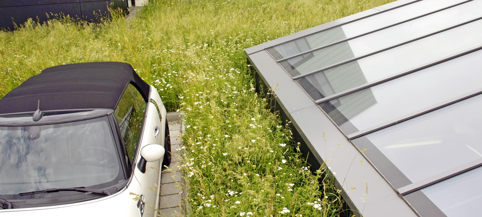 Car on a green roof surrounded by a meadow