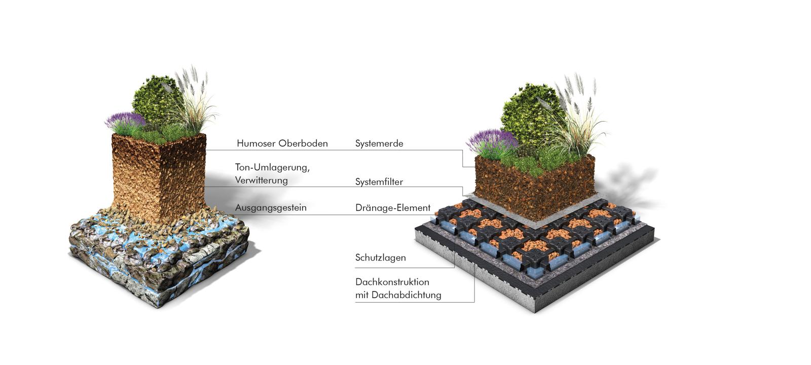 Green roof and nature