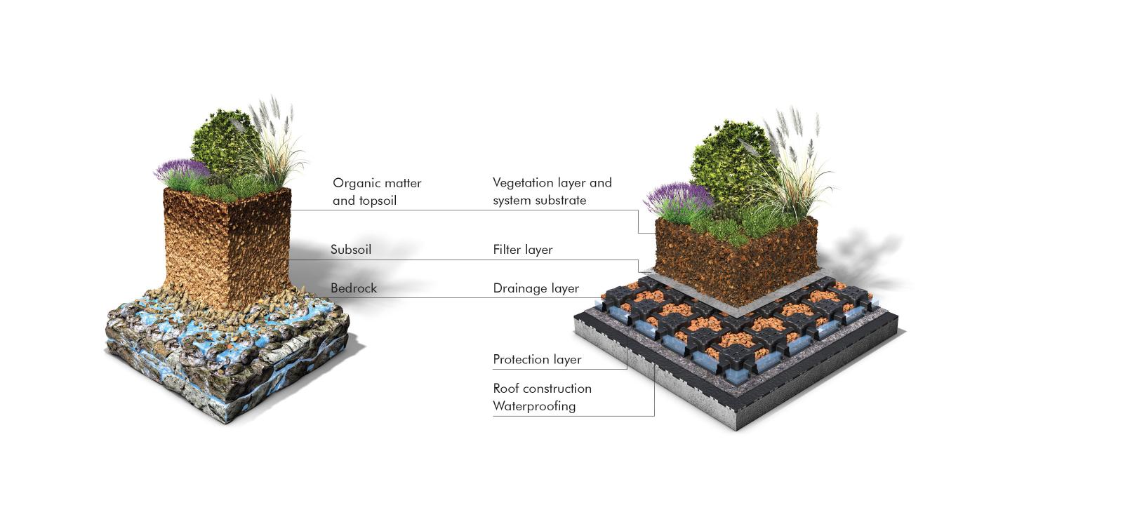 Illustration of a green roof build-up and soil structure
