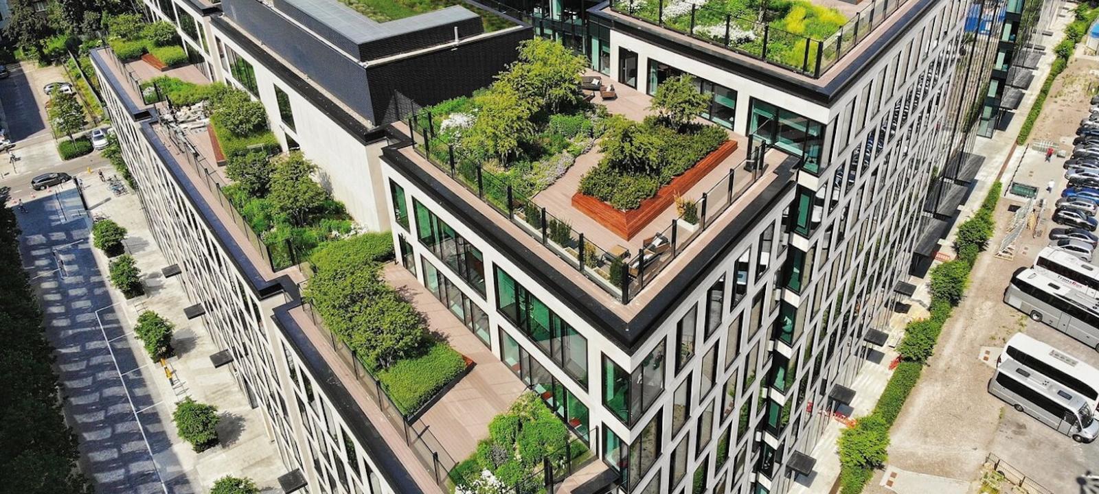 Green roofs