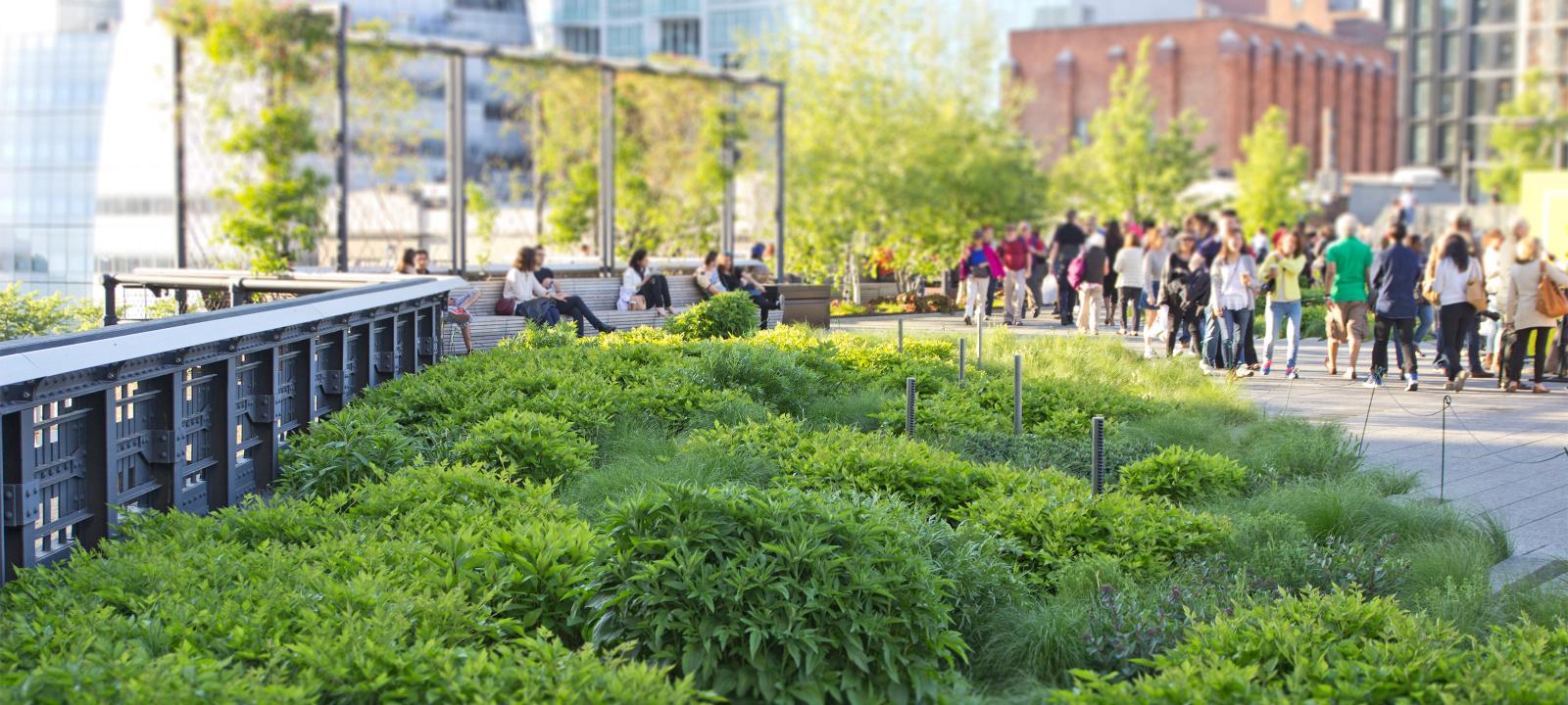More than 20 million people have visited the High Line Park so far.