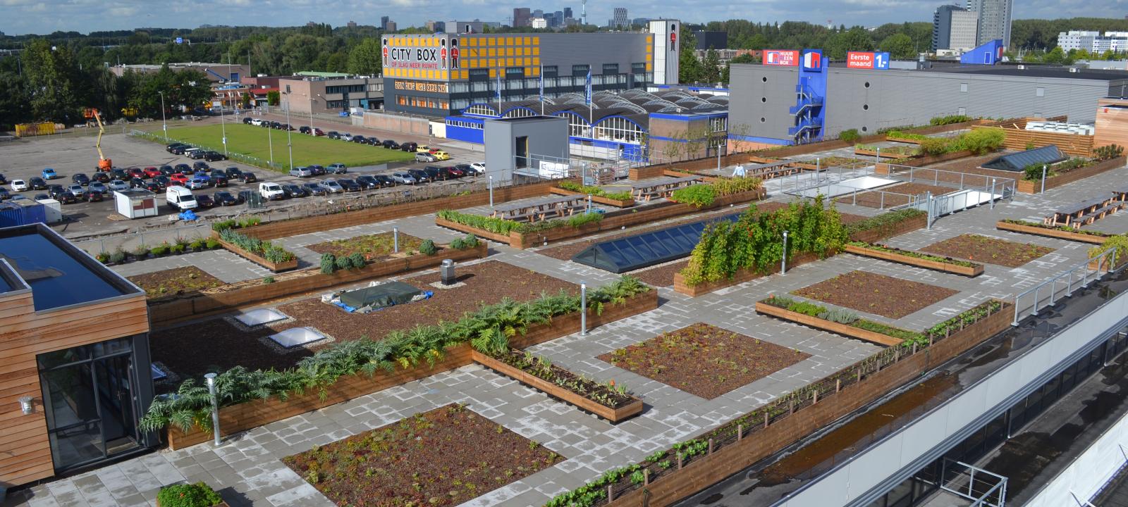 Bird's eye view on a large rooftop farm