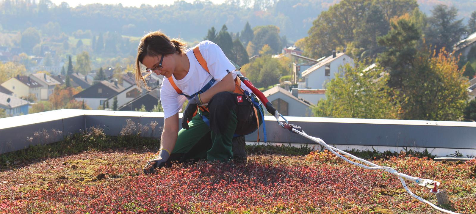 Roof gardener with safety system