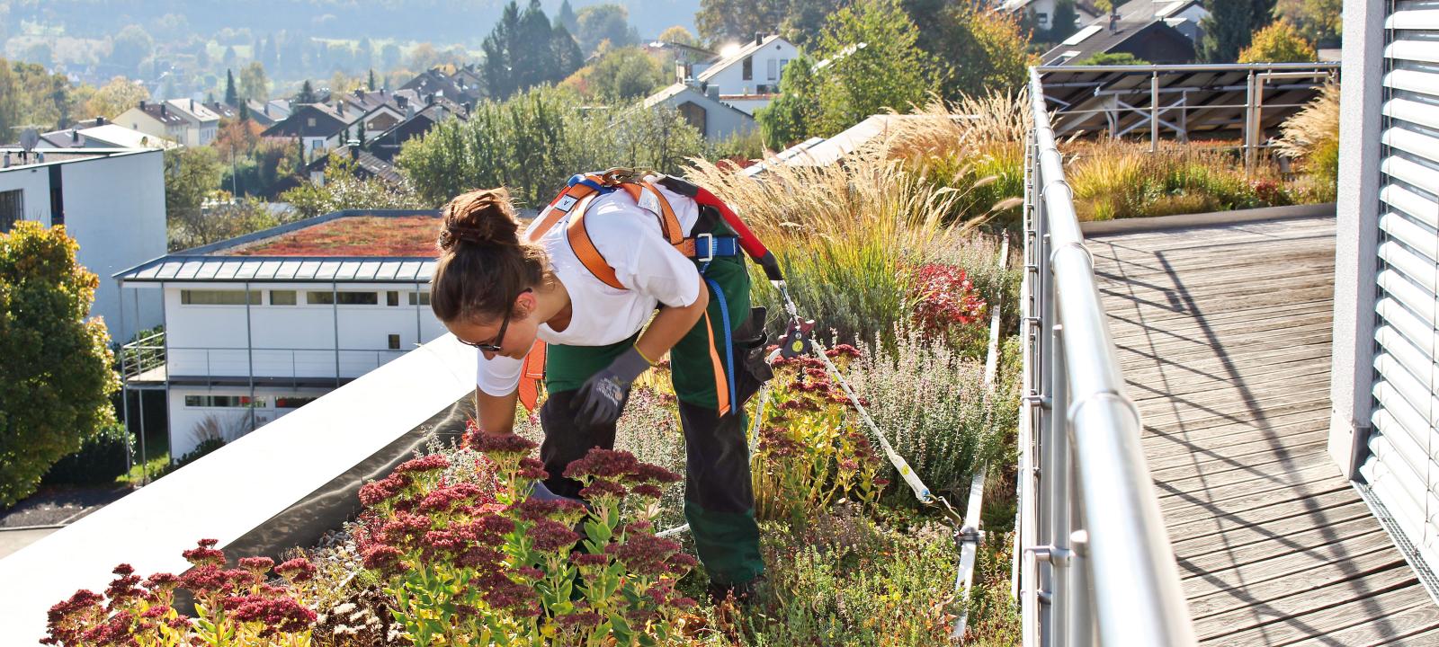 Roof gardener with safety system