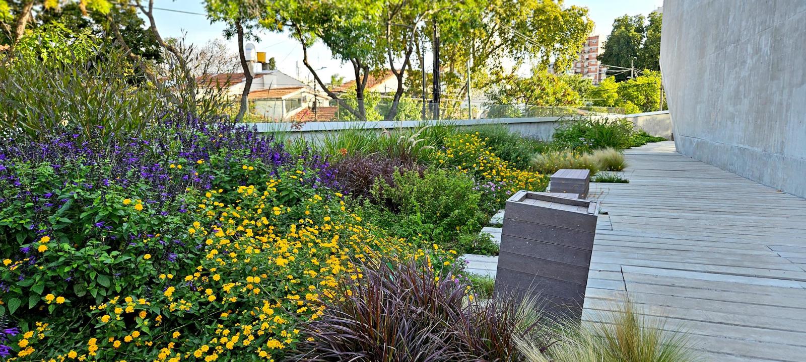 Roof garden with flower beds and walkways