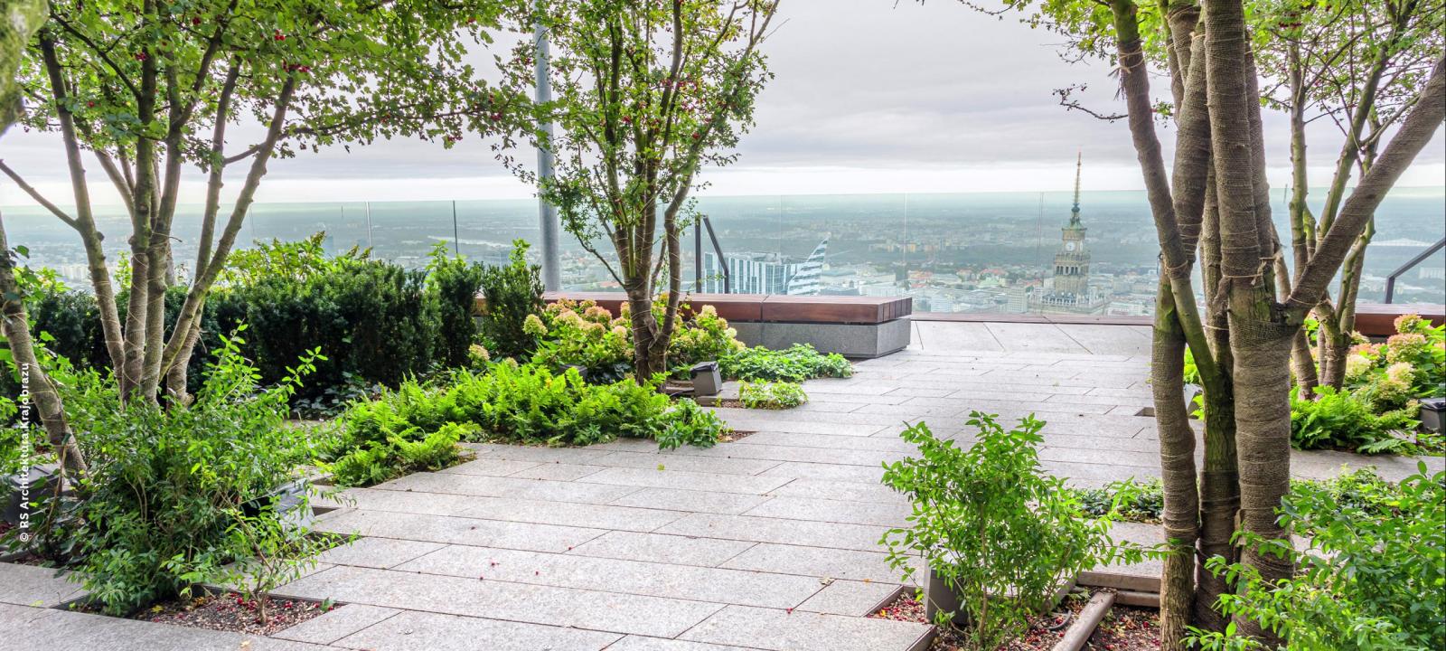 Roof garden with small trees