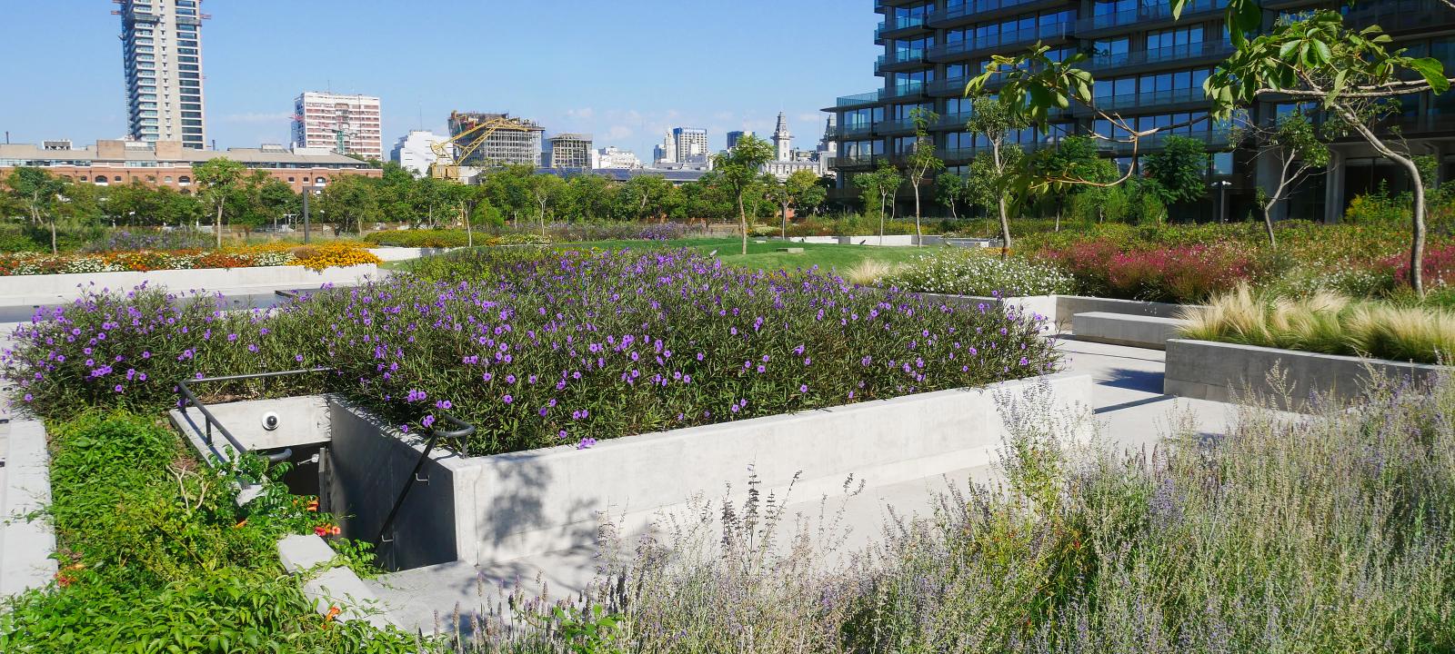 Walkways and lush greenery on top of an underground garage