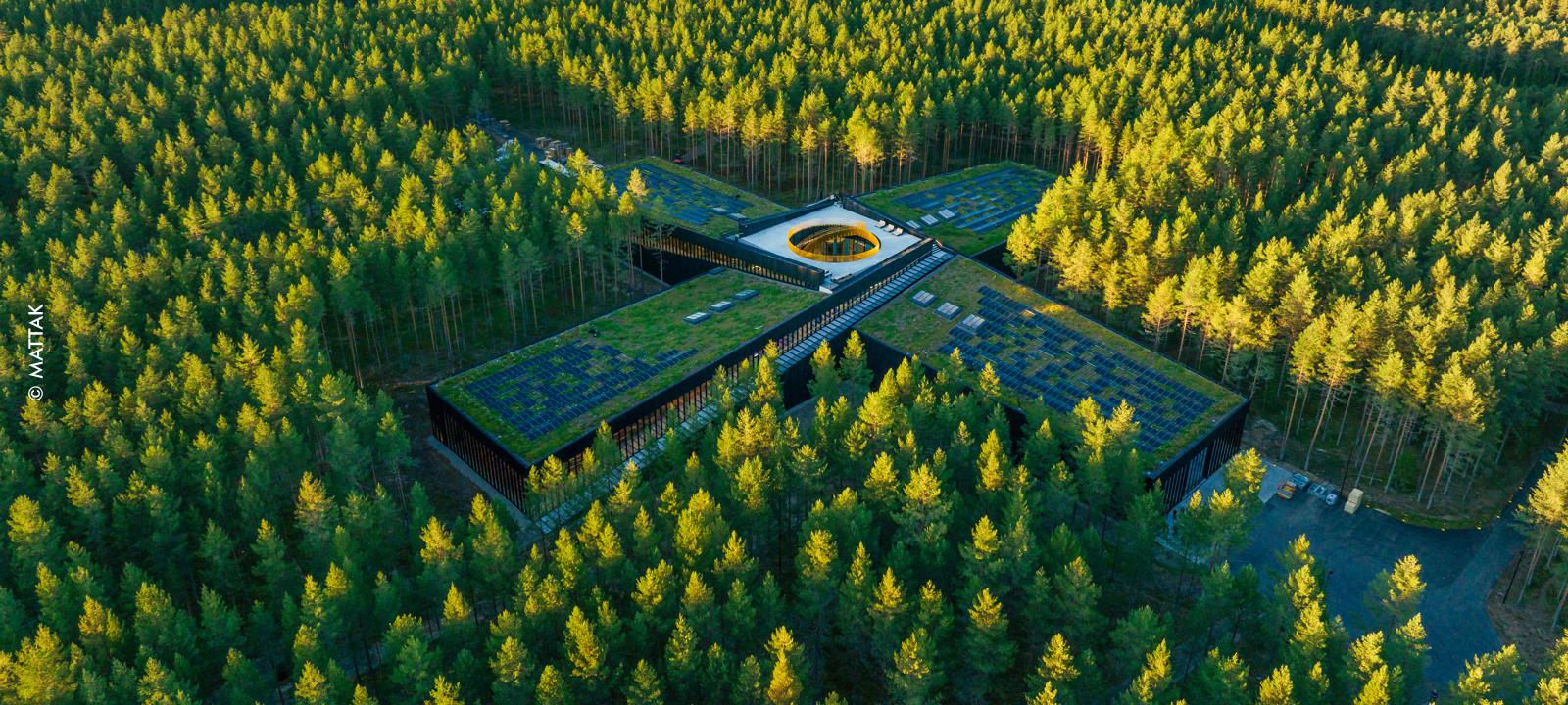 Industrial building with a green roof and photovoltaics in the woods 
