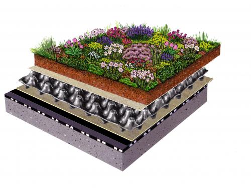 Green roof system build-up