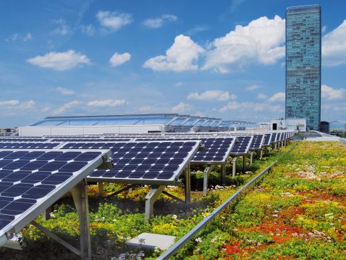 Sedum roof with photovoltaics