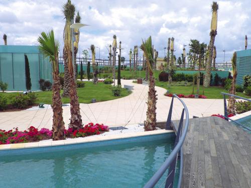 Roof garden with palm trees and a curved wooden bridge leading over a water basin