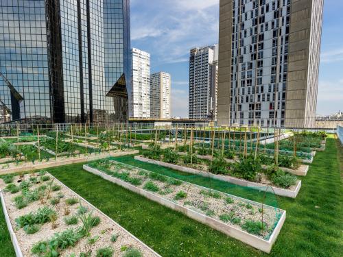 Roof garden with lawn and plant beds in the city