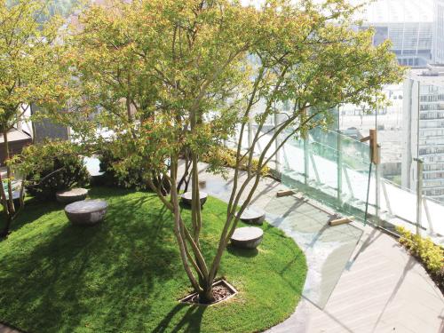 Roof garden with sitting area and big trees in a big city