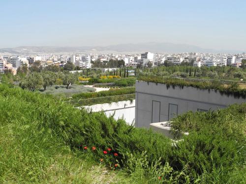 Lusciously vegetated green roofs