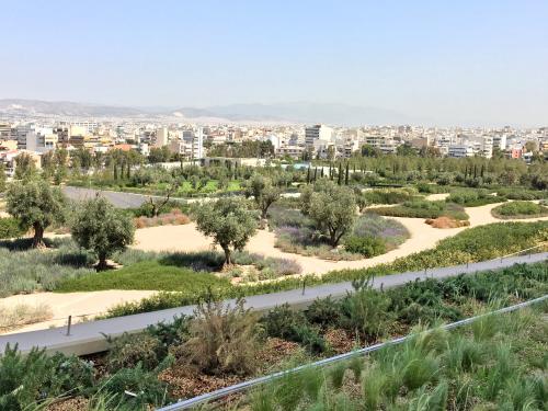 Green roof with pathways leading through mediterranean vegetation