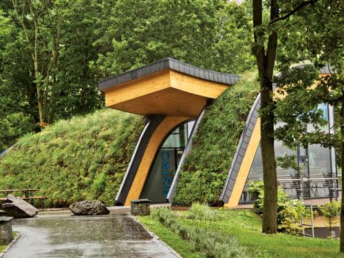 Pitched green roof