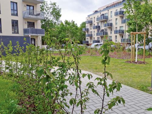 Greened area with shrubs and trees surrounded by housing blocks