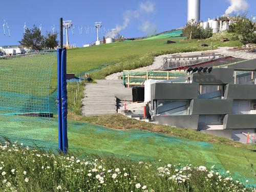 Grass growing through the synthetic mats on the skiing slope on a pitched roof.