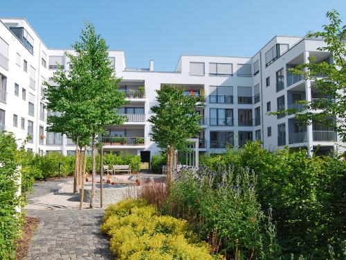 Green courtyard with shrubs, bushes, trees and playground, surrounded by residential blocks