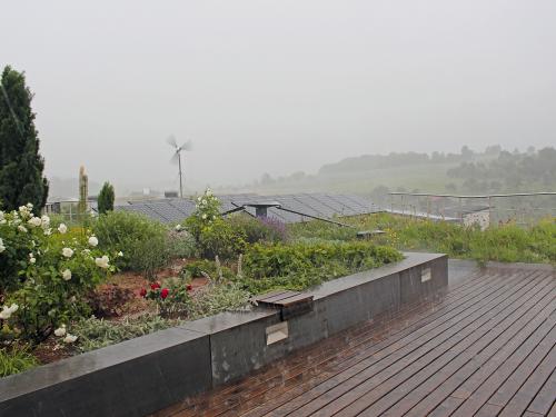 Roof garden during heavy rainfall