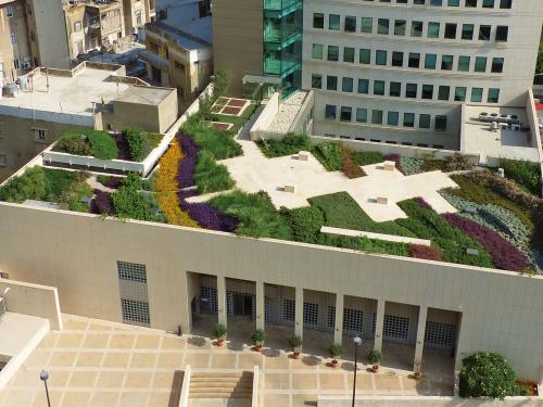 Bird's eye view onto a green roof in the city