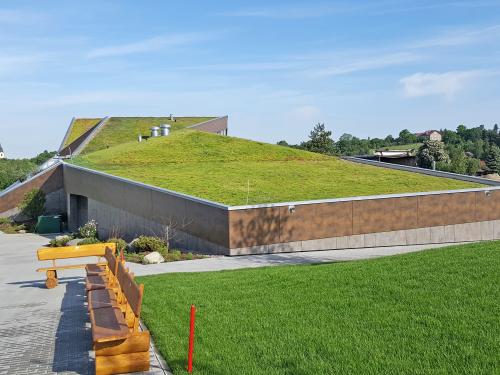 Pitched green roof