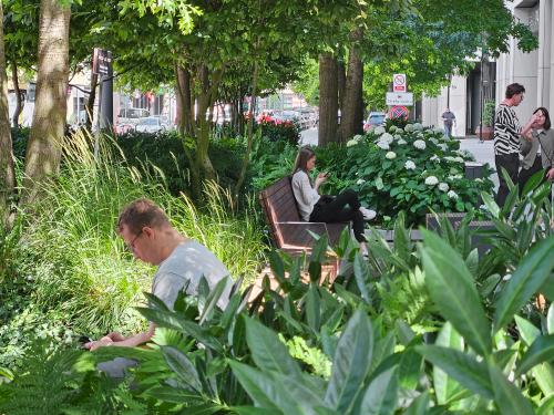 Lush greenery in the city