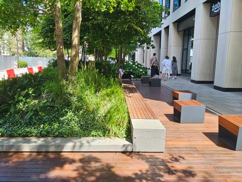 Benches, greenery and wooden decking