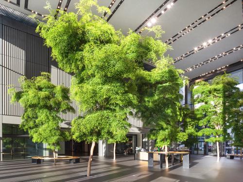 Trees in an interior lobby