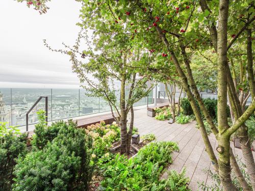 Roof garden with small trees