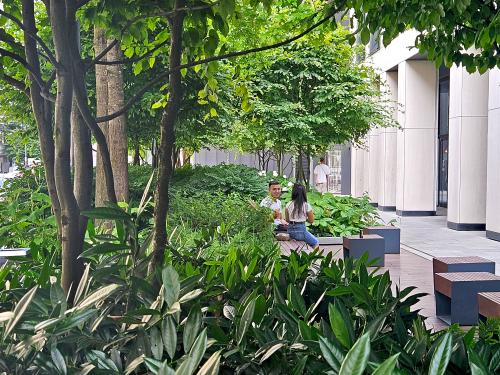 Benches and green vegetation in the city