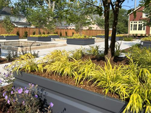 Vegetated raised plant beds