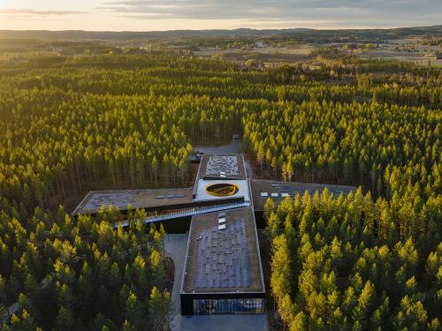 Factory with a green roof and solar surrounded by wood