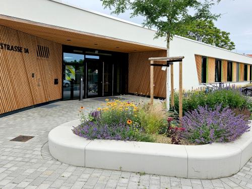 Flowering plant bed and small tree in front of a building