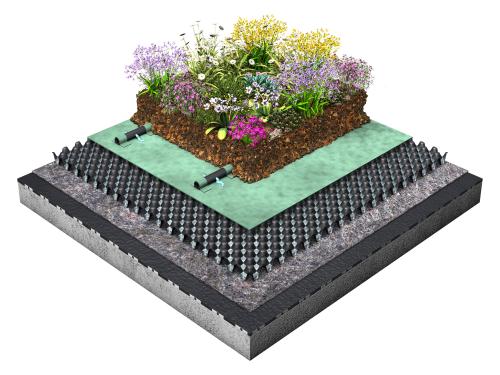 System build-up of a green roof