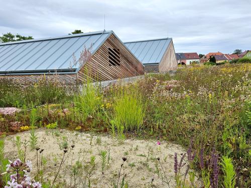 Green roof with sand pockets