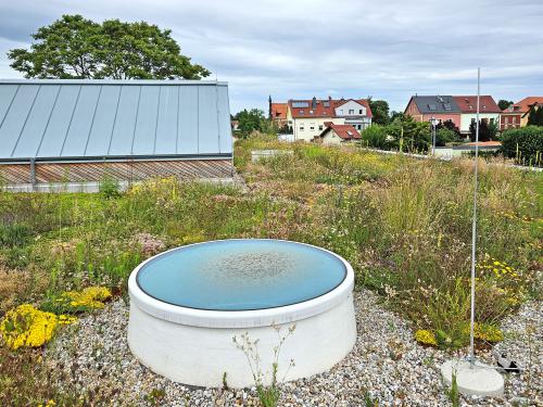 Green roof with roof lights