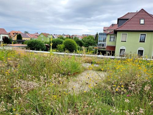 Green roof with sand pockets