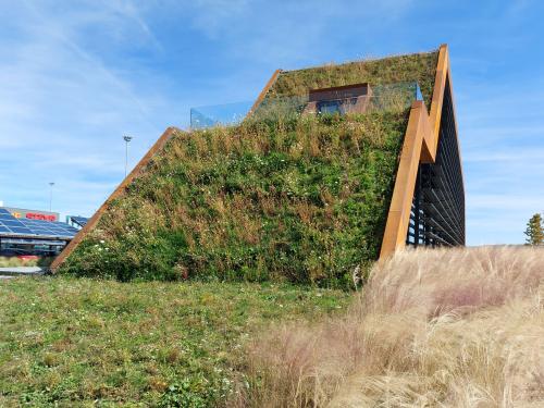 Pitched green roof with a meadow