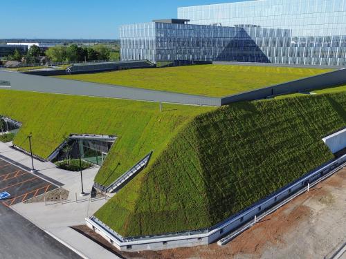 Pitched green roof