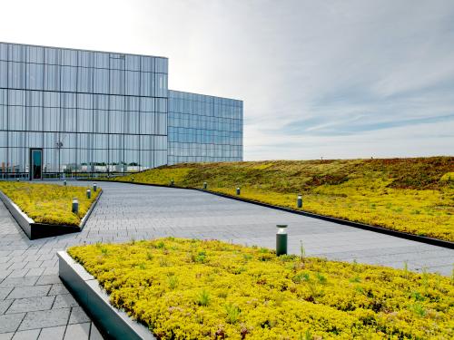 Roof garden with walkways and flowering plants