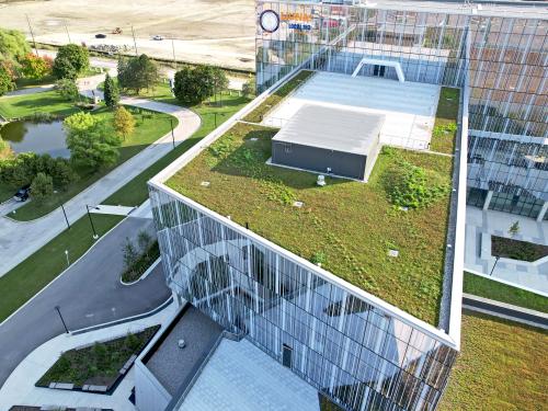 Green roof on an office building