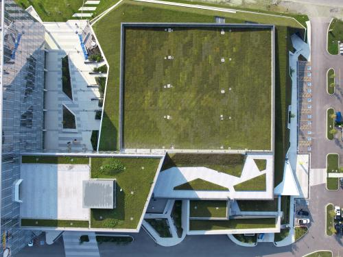 Bird's eye view onto a green roof