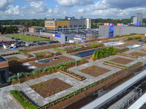 Bird's eye view on a large rooftop farm