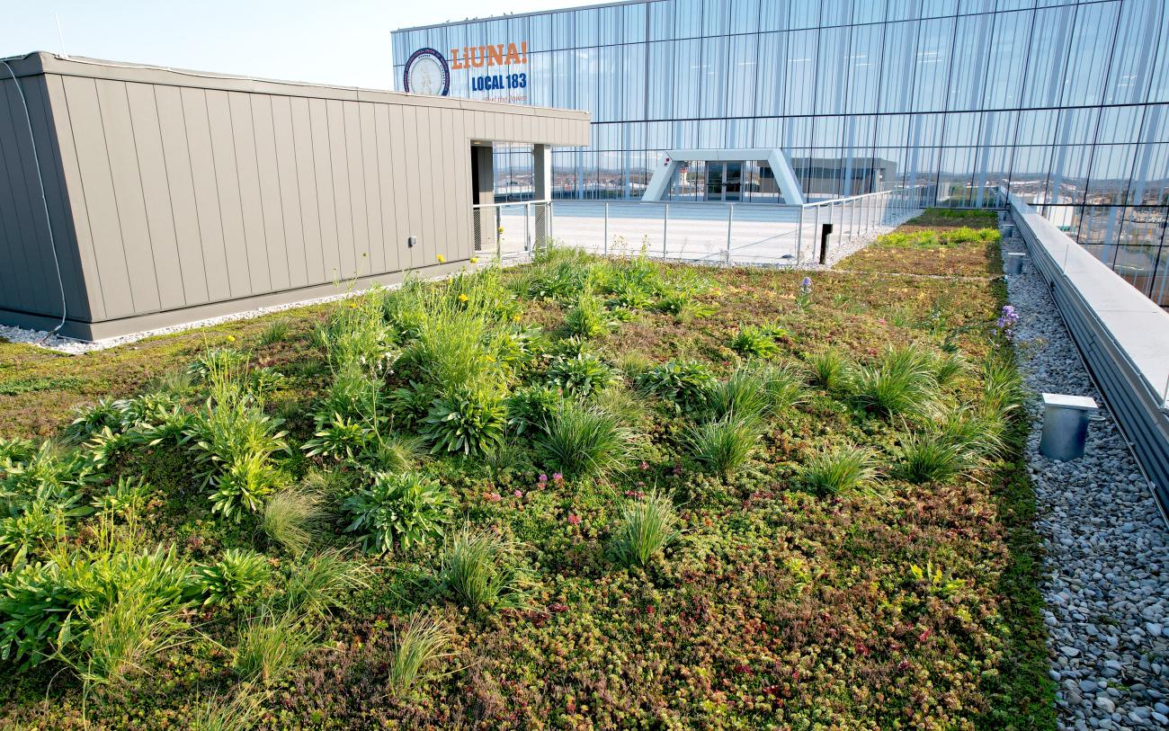 The steepest green roof in Ontario - roof pitch up to 50° | ZinCo Green ...