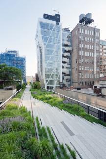 The High Line with adjacent buildings