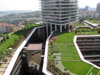 Large green rooftop areas in the city