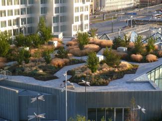 Pathways with plant islands