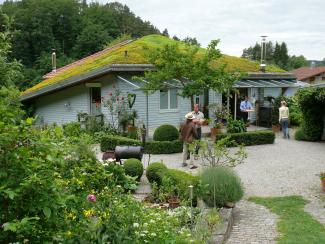 Pitched green roof