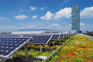 Green roof with solar plant